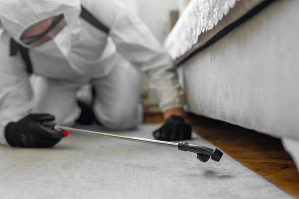 Professional Mosquito Control technician working in Bethel Manor, VA