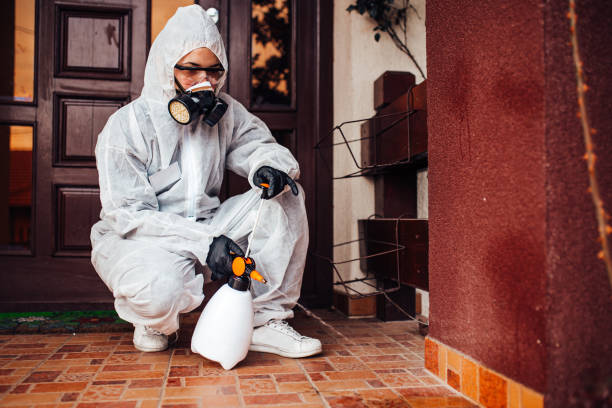Reliable Mosquito Control contractor in Bethel Manor, VA by Nex Pest Control
