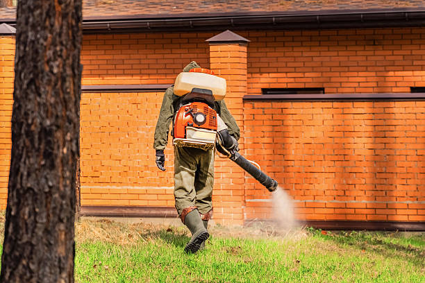 Trusted Cockroach Control service in Bethel Manor, VA - Nex Pest Control